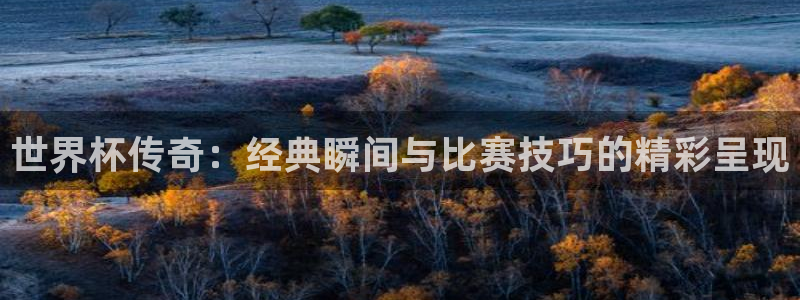 2026世界杯赛程表完整版：世界杯传奇：经典瞬间与比赛技巧的精彩呈现