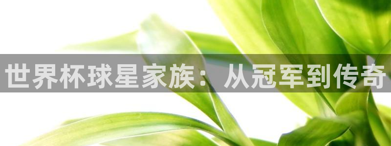 2026年世界杯赛程时间表格：世界杯球星家族：从冠军到传奇