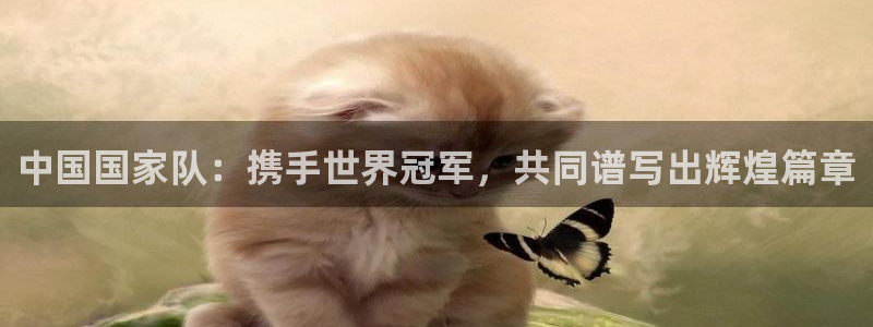 2026世界杯德国队阵容：中国国家队：携手世界冠军，共同谱写出辉煌篇章
