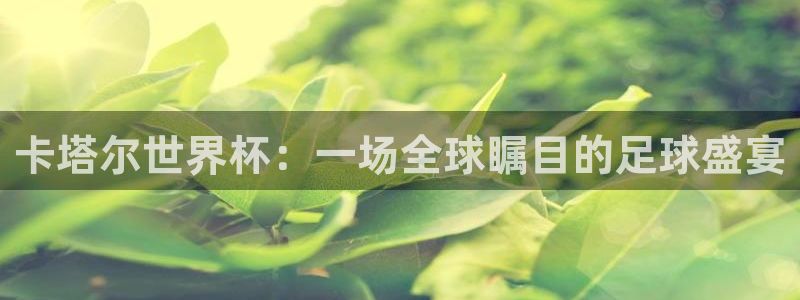 世界杯对阵表：卡塔尔世界杯：一场全球瞩目的足球盛宴