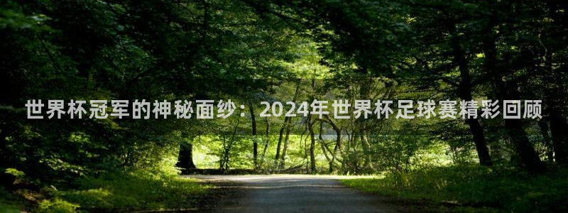 2026世界杯亚洲区预选赛赛程：世界杯冠军的神秘面纱：2024年世界杯足球赛精彩回顾
