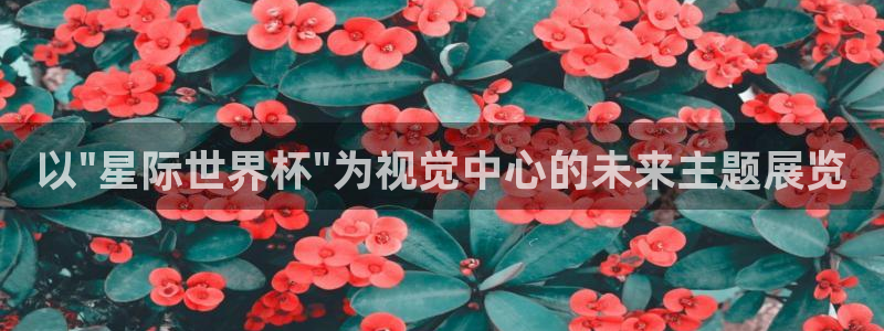 世界杯预选赛欧洲赛区积分榜：以\