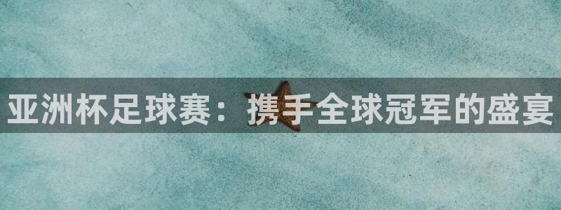 世界杯亚洲区预选赛赛程：亚洲杯足球赛：携手全球冠军的盛宴