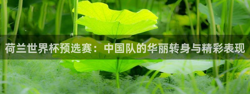 亚洲杯比赛直播：荷兰世界杯预选赛：中国队的华丽转身与精彩表现
