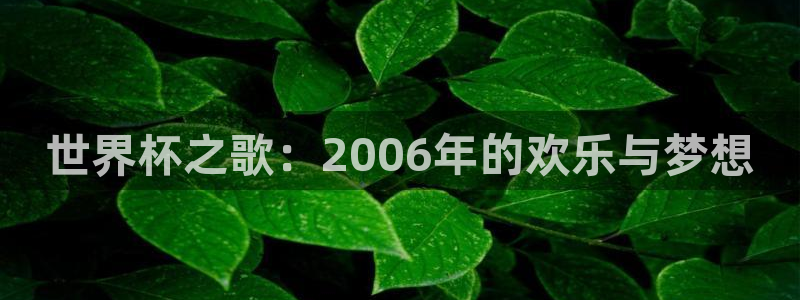 女足世界杯赛程：世界杯之歌：2006年的欢乐与梦想