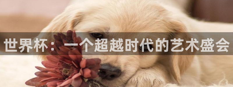 中国 世界杯：世界杯：一个超越时代的艺术盛会