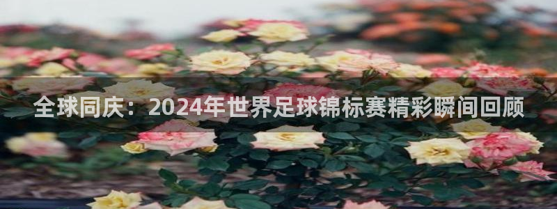 世界杯直播观看：全球同庆：2024年世界足球锦标赛精彩瞬间回顾