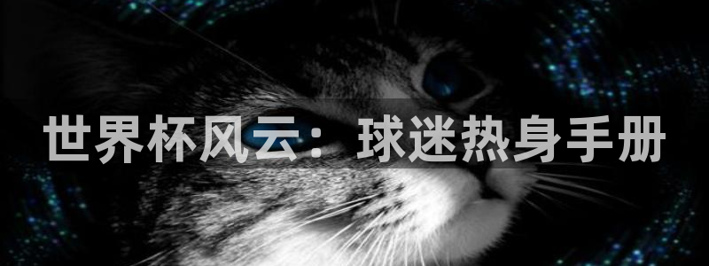 足球杯：世界杯风云：球迷热身手册