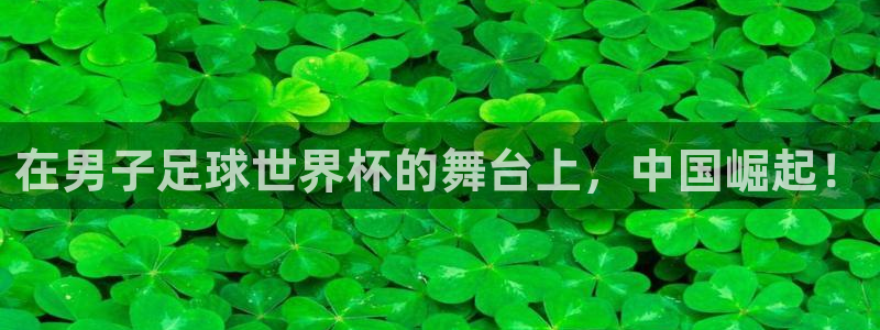 2026世界杯直播：在男子足球世界杯的舞台上，中国崛起！