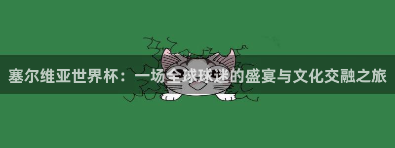 世界杯足球：塞尔维亚世界杯：一场全球球迷的盛宴与文化交融之旅