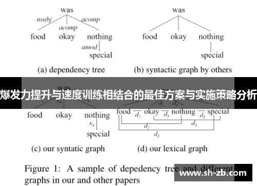 爆发力提升与速度训练相结合的最佳方案与实施策略分析