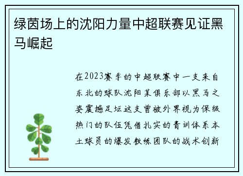 绿茵场上的沈阳力量中超联赛见证黑马崛起