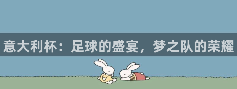 2006世界杯：意大利杯：足球的盛宴，梦之队的荣耀