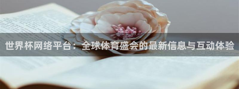 2026世界杯赛程表完整版：世界杯网络平台：全球体育盛会的最新信息与互动体验